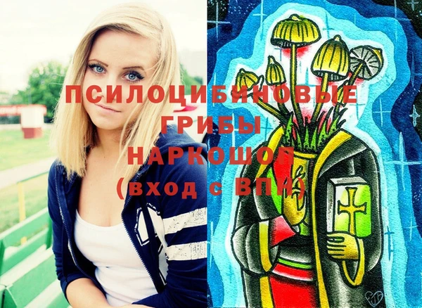 дживик Арсеньев