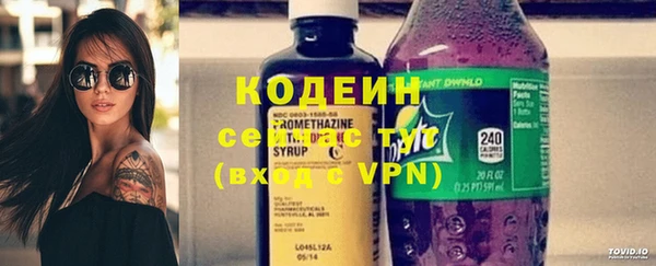 дживик Арсеньев
