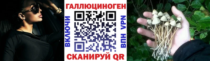 Галлюциногенные грибы Psilocybe  закладки  Мензелинск 